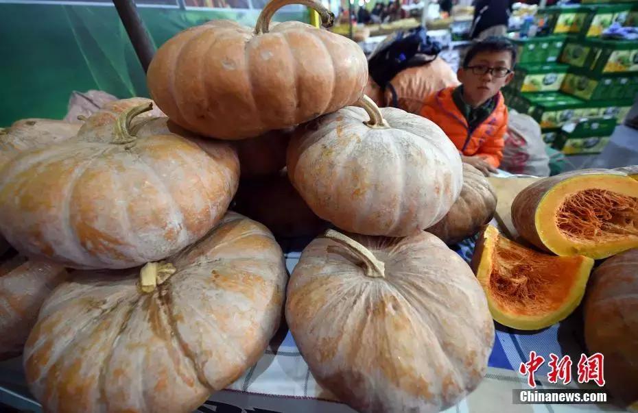 南瓜加豆浆能治疗膝盖疼是真的吗,膝关节疼常吃豆浆煮南瓜有用吗