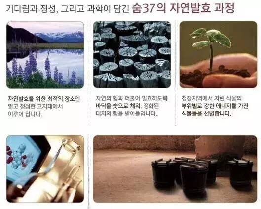 呼吸37°,呼吸37水凝霜