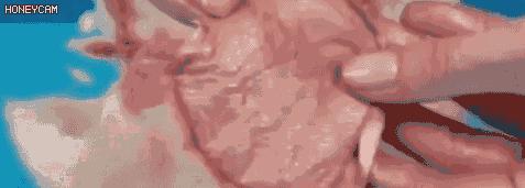 想做一个精致的猪猪女孩？身体高光了解下！