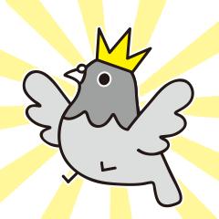 养鸽子对风水有好处吗,回民养鸽子的好处