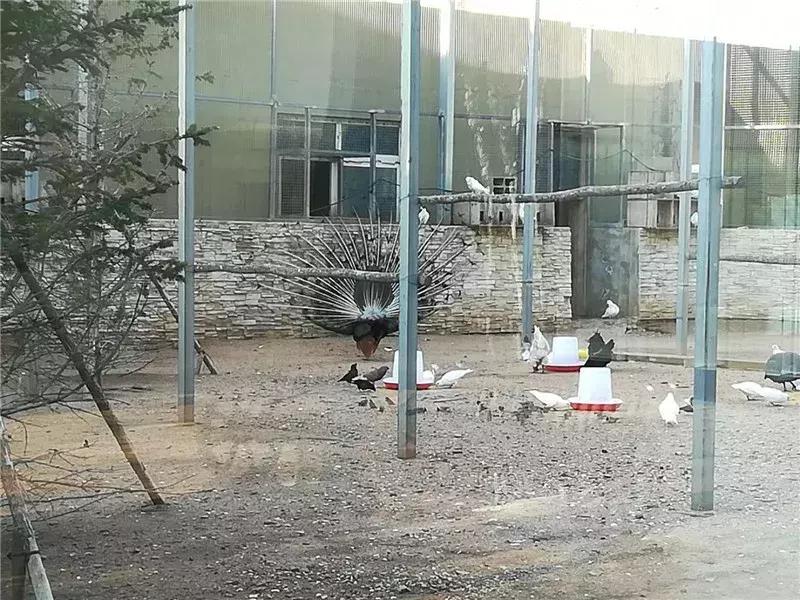 棣欐床鏃呮父搴﹀亣鍖烘父鐜╂敾鐣ヤ竴鏃ユ父,鏀鹃蹇冩儏蹇箰鍑烘父