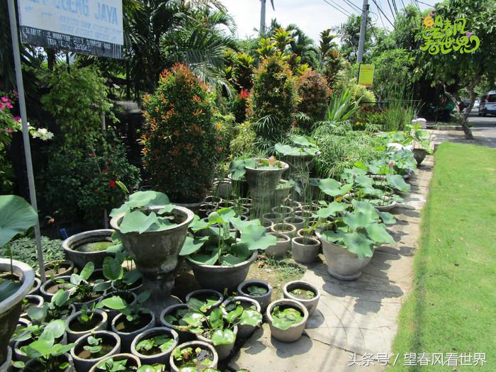 手绘旅行,东山岛旅游手绘游记