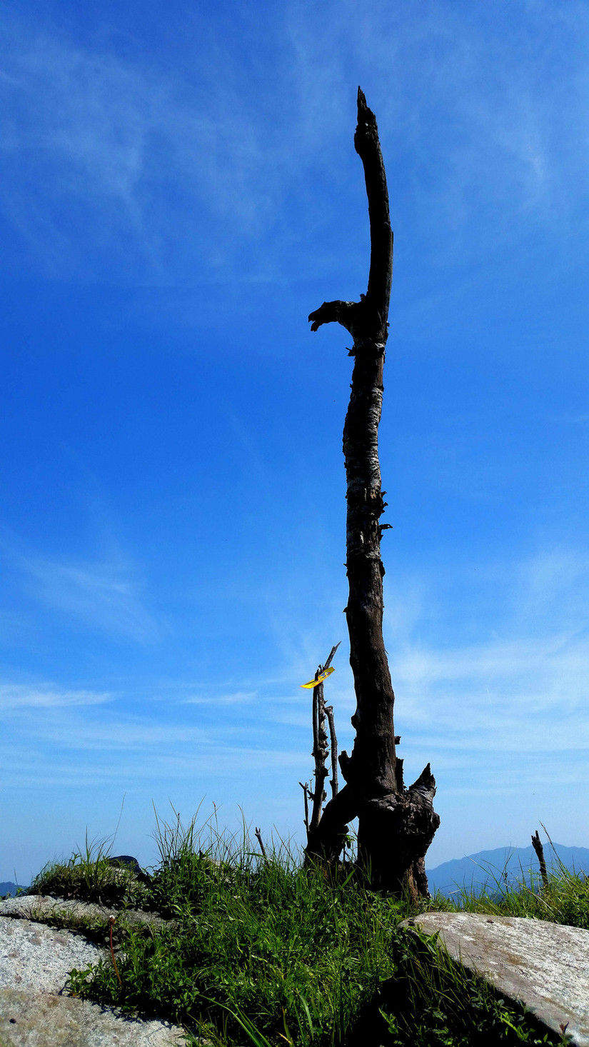 天华山-秦岭梁，又一条风景秀美的一日劲走线路