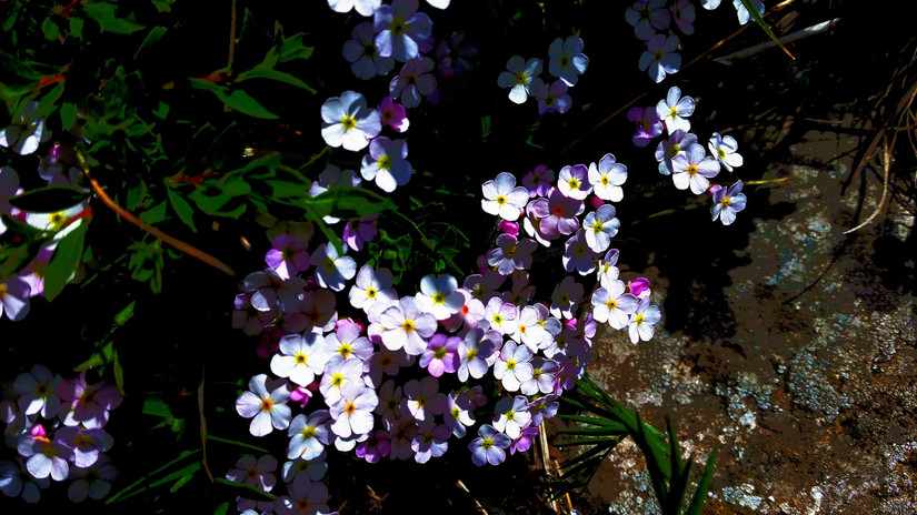 天华山-秦岭梁，又一条风景秀美的一日劲走线路
