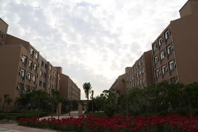 医学生新的一天,医学生的一天在医院