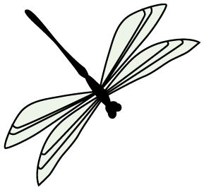 芳草百味｜想要清热泻火，菊花和野菊花哪一个更适合你？这些你可能不知道！