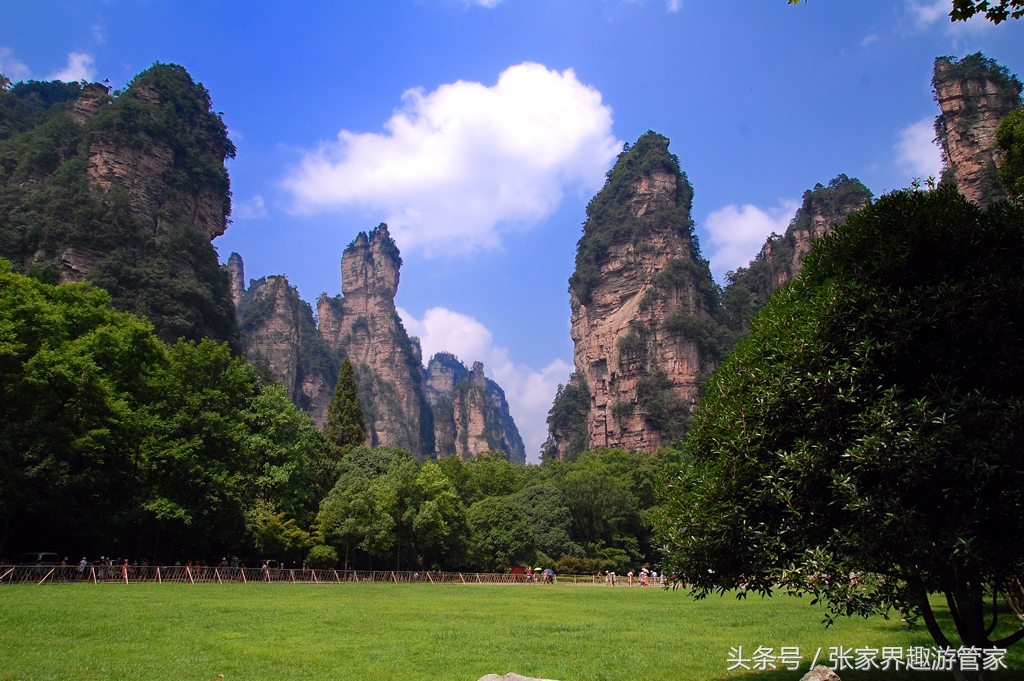 张家界旅游注意事项跟团,去张家界旅游注意事项和建议