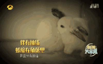 干粉灭火器干粉会在空中飘多久,吸入干粉灭火器有什么后果