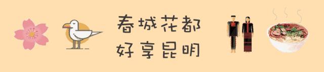 「到春城·过春节」弦歌知意,时间流过的民族乐器