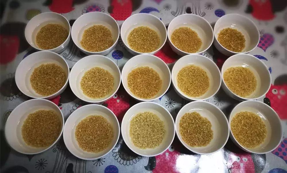 好吃的糙米饭推荐有味道,最好吃的糙米饭