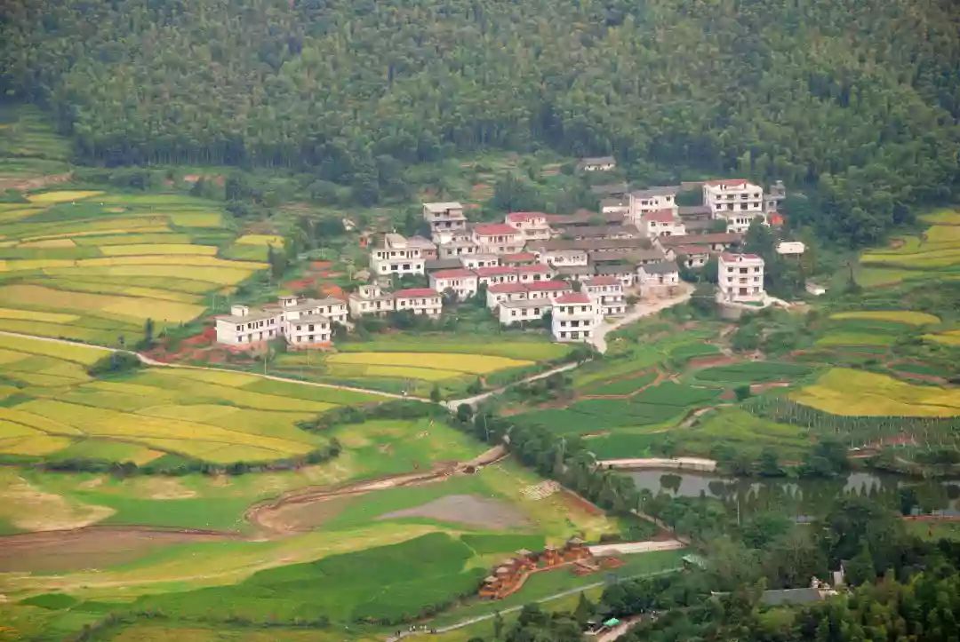 南昌聚仁万象都会69号楼住宅房价,最新南昌各区房价排名