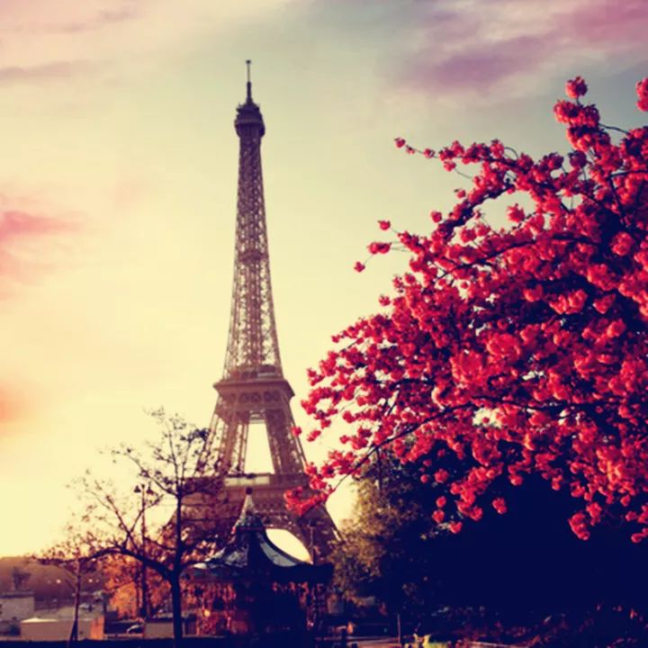 适合暑期去的免签落地签国家,免签落地签旅游推荐