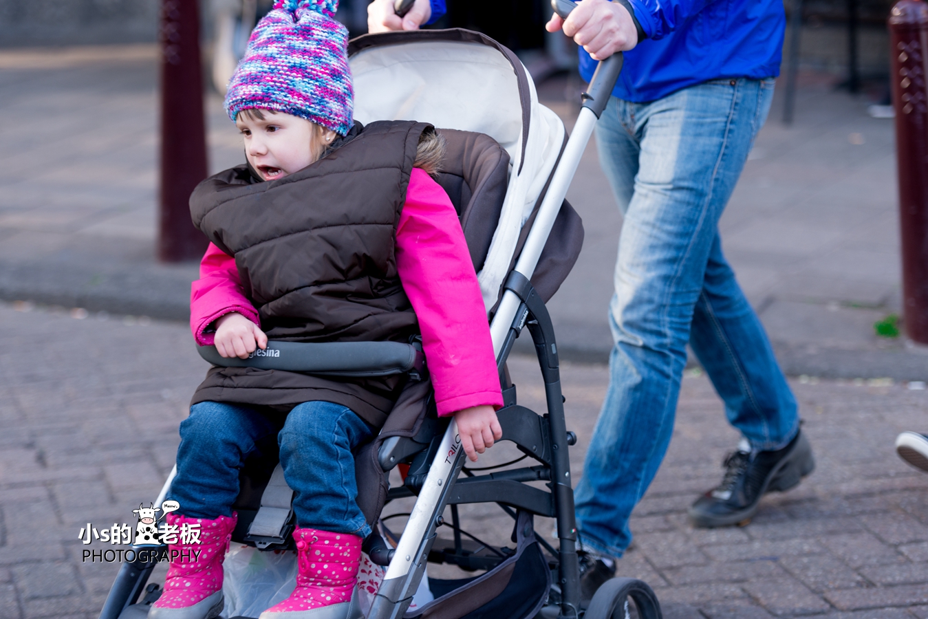 2018荷兰花海,荷兰郁金香自驾游攻略