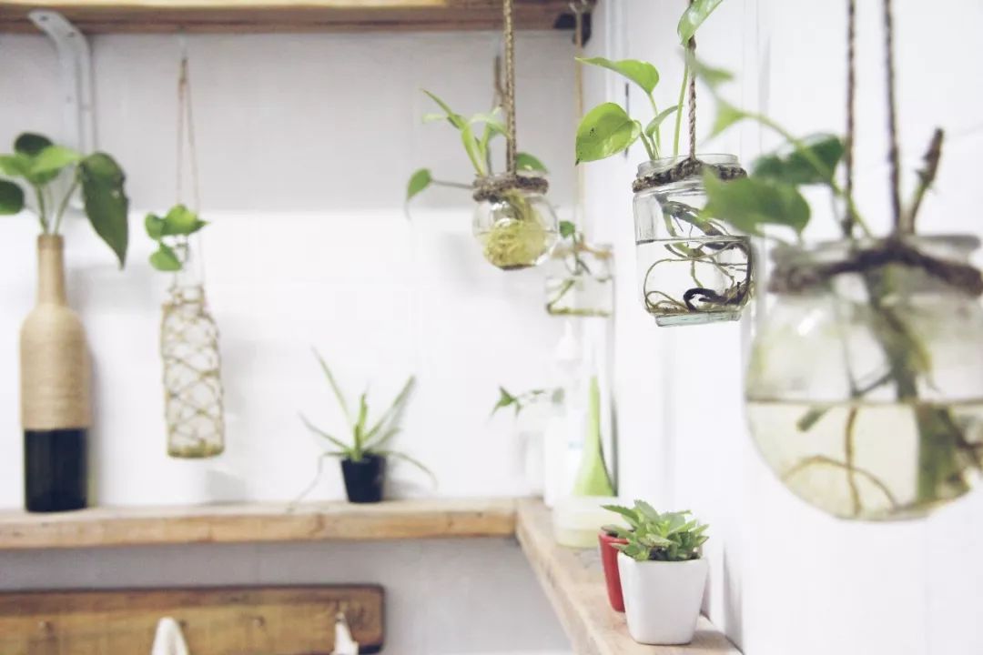 出租屋改造捡破烂,靠捡废品装修