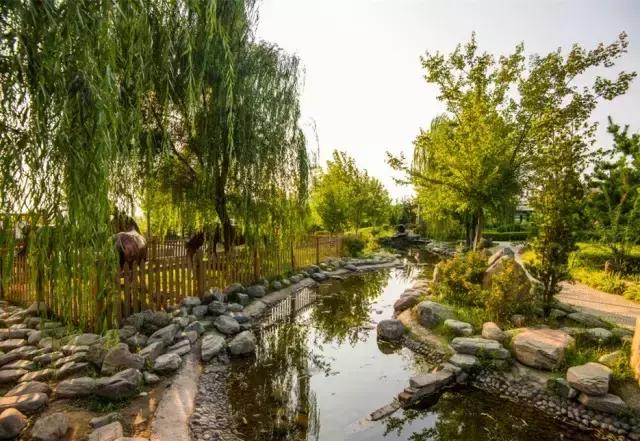 旅游打卡河南最值得去的十个景区,河南必去四大旅游景点