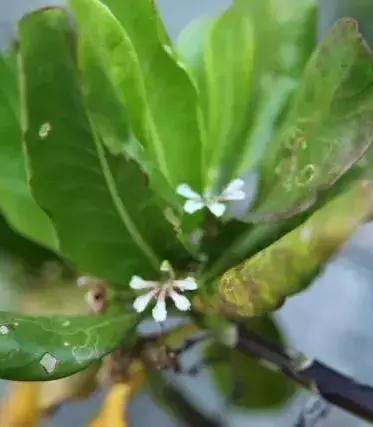 阳江海陵岛北洛秘境度假酒店,阳江海陵岛北洛秘境酒店推荐