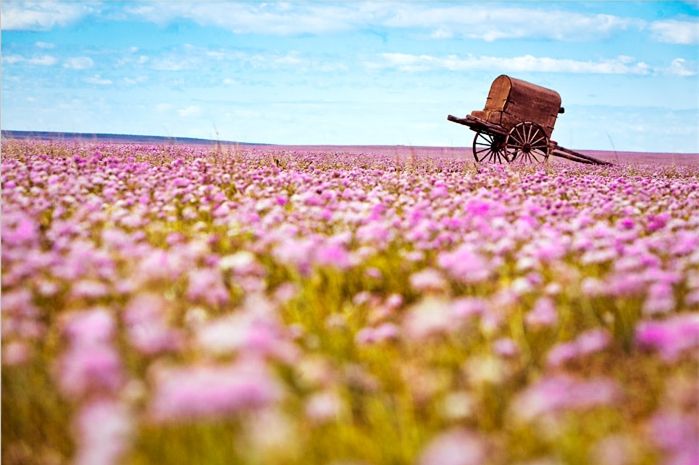 呼伦贝尔自驾游团购,呼伦贝尔团游4天3晚团购