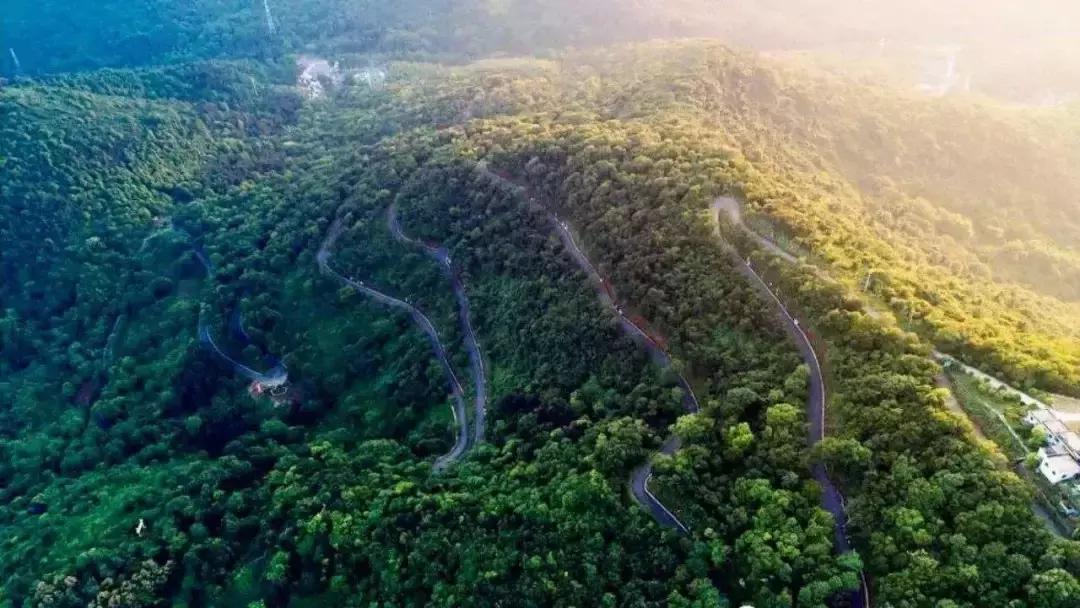 涓嶈缇℃厱鍑哄幓鏃呮父鐨勪汉,涓嶈缇℃厱鍑哄浗鏃呮父