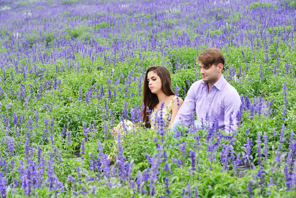 现在闪婚的离婚概率,闪婚一年后离婚的真实情况