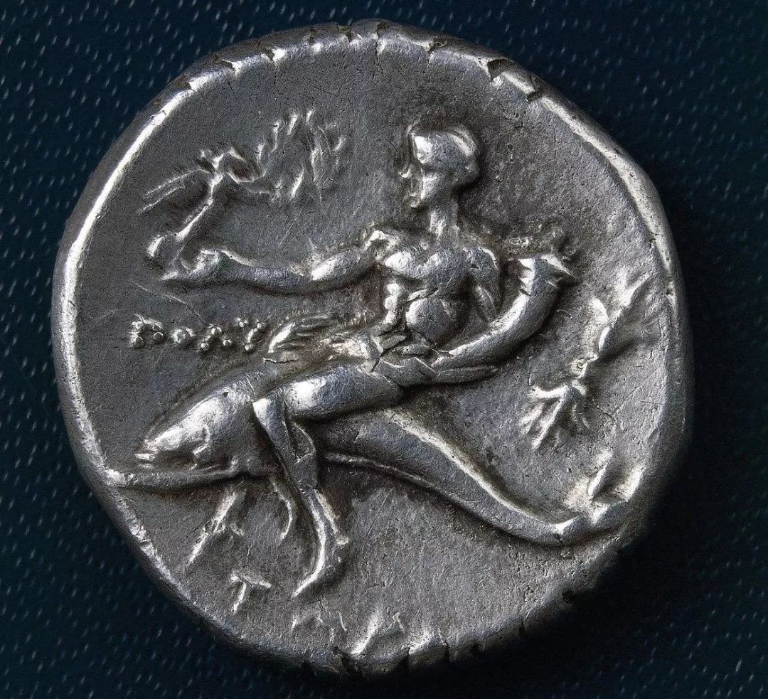 鸟和人类基因相似度多少,鸟和猫的智商哪个高