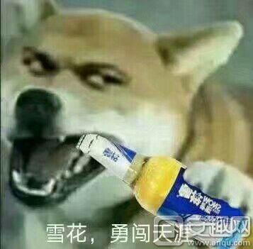 我怀念2011年时候的《推理学院》,再见了葫芦哥和贞子姐