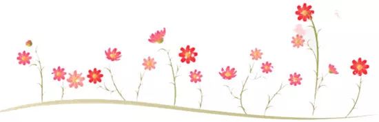 多肉华丽风车和紫乐的区别,多肉华丽风车断头了怎么办