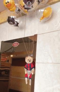 狗狗与气球的友谊,狗狗与气球的故事