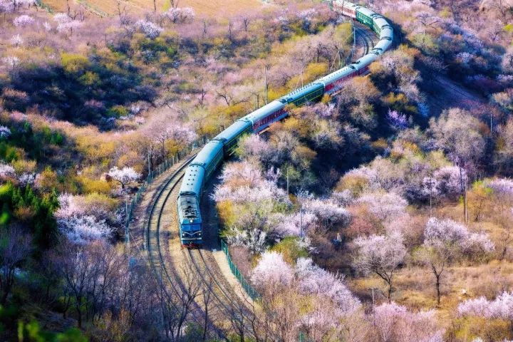 绱㈠凹鍗曞弽鐩告満鍏ラ棬鏁欑▼,绱㈠凹榛戝崱7鐩告満鍏ラ棬鏁欑▼