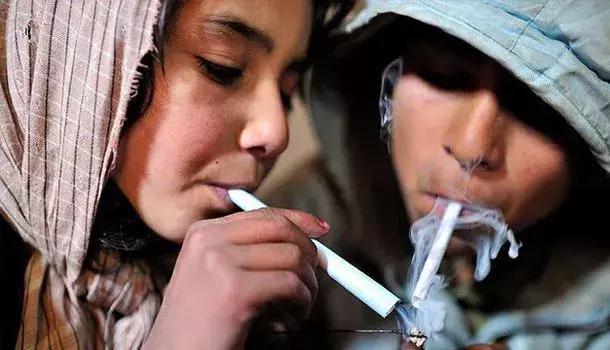 寄递物流破获毒品案,寄递物流毒品案件