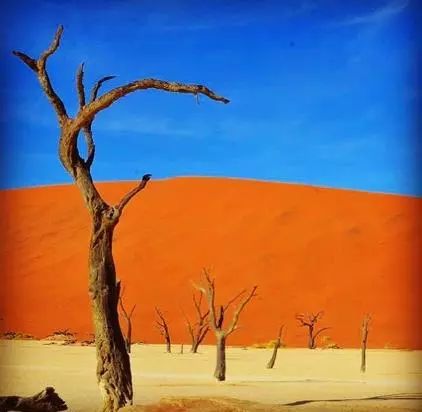 这对夫妇朋友圈消失400天，跨越48国，随后发出的照片惊艳BBC