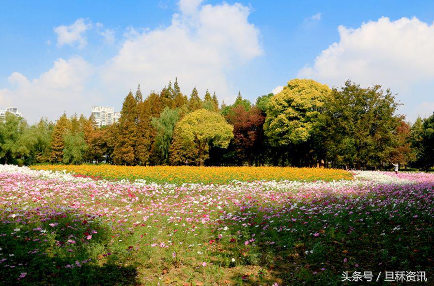 上海人均身价是多少,上海人均身价