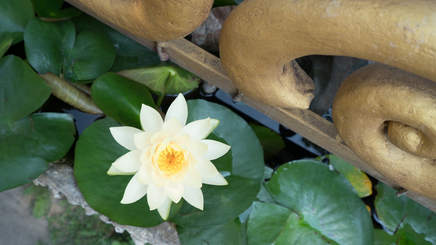 泰国旅游曼谷清迈攻略,泰国清迈的旅游攻略