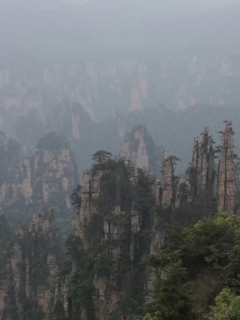 香港人组团游张家界,姐妹相约张家界三日游