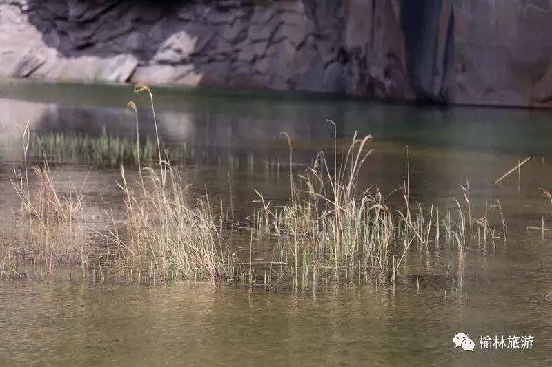 周末去哪玩？榆林周边竟藏着一处原生态秘境，人少景美还免费！