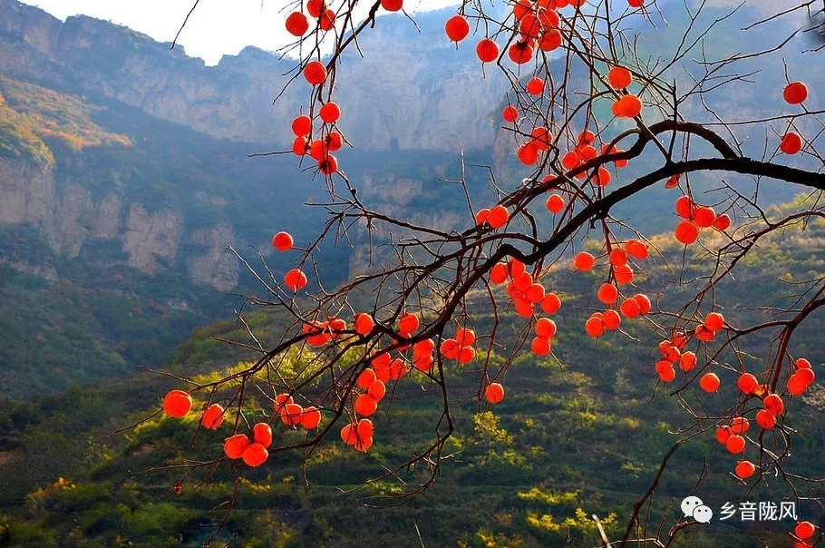 宛如玉的诗歌《老家》