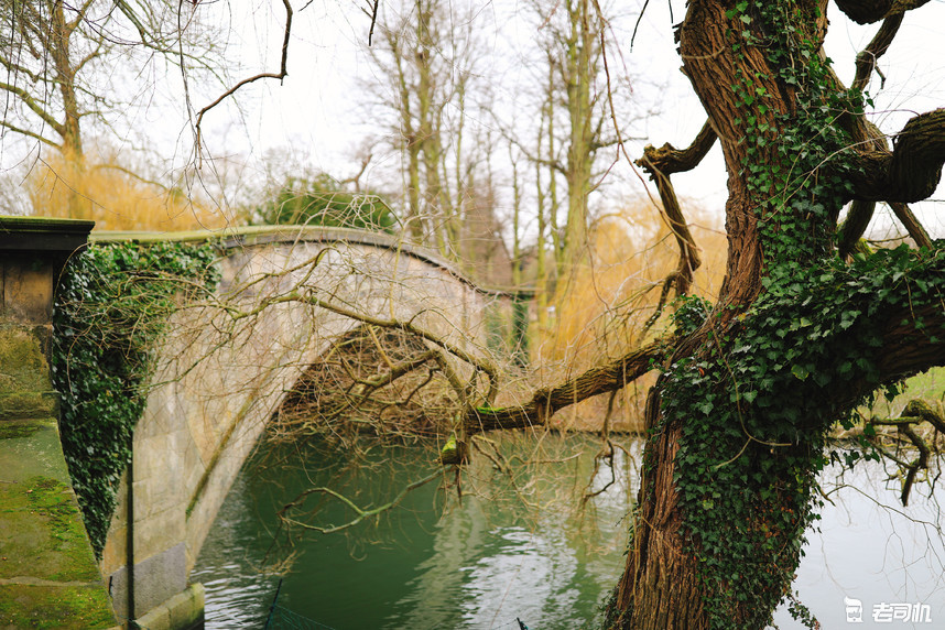 英国剑桥的康桥,英国剑桥大学的康桥