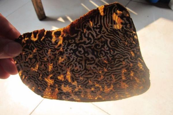 足下蹑丝履头上玳瑁光是什么意思,足下蹑丝履头上玳瑁光腰若流纨素