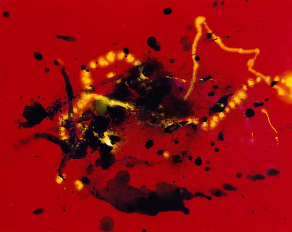 100张摄影作品灵魂舞者,60幅摄影作品一览