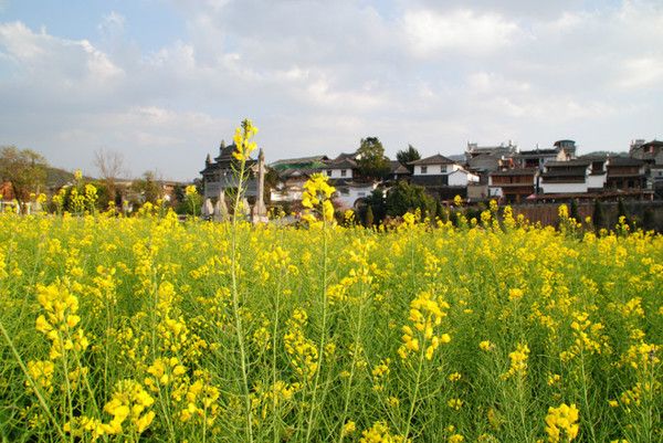 “情不知所起,一往而深”:腾冲旅游吃住行攻略拿走不谢