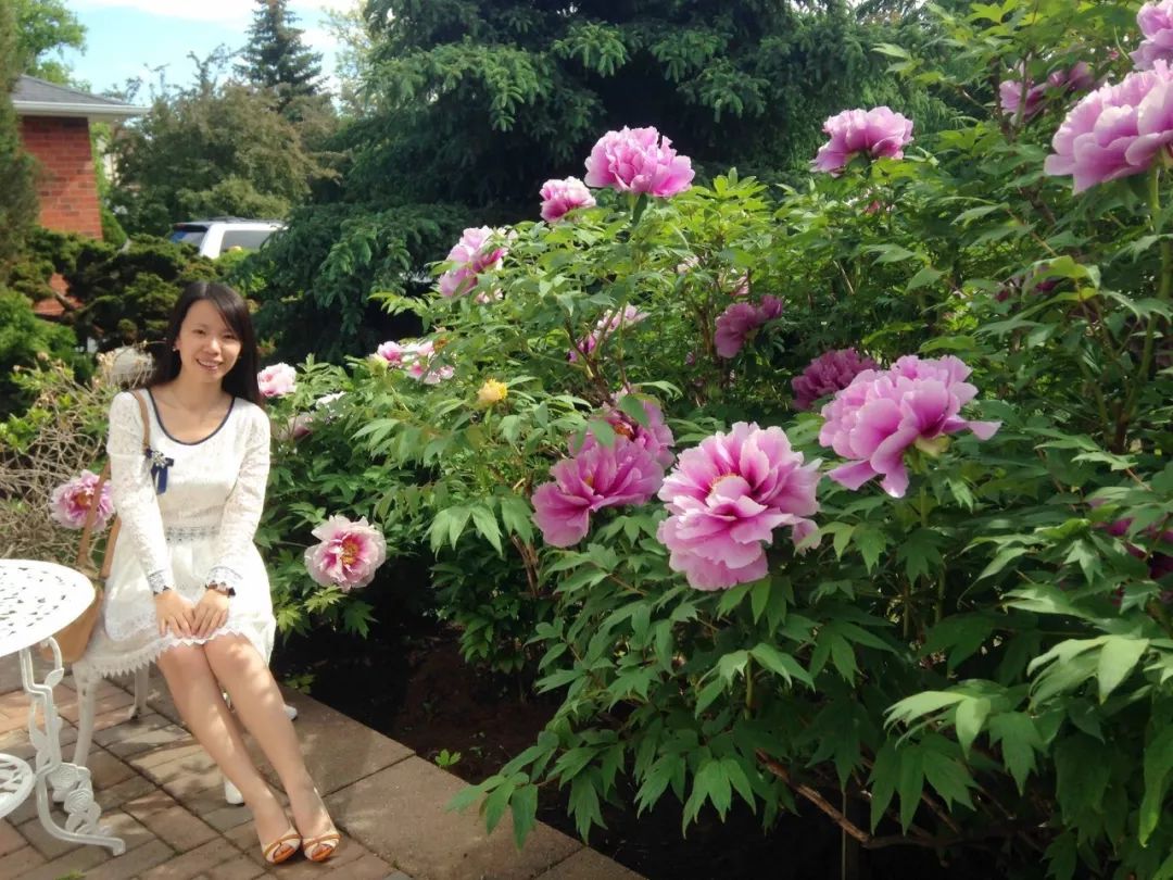 「词风雅韵」静子｜乱世胭脂扣民国十三钗《词林正韵》十四部韵