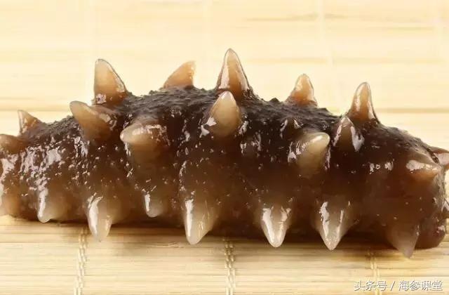 大连海参一斤40头价格,大连鲜悦岛海参价格查询