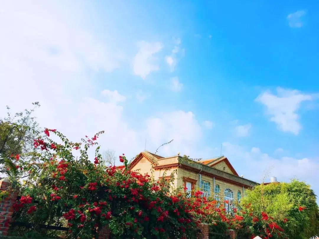 厦门旅游攻略3天2晚自由行本地游,厦门旅游攻略3天2晚自由行亲子