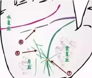 手诊了解一个人的性格和健康,十个最简单的手诊图
