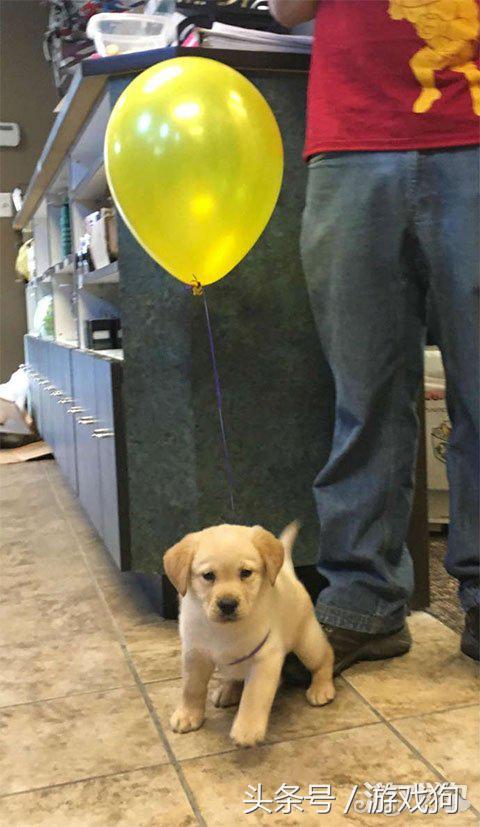 怎么拍出指尖陀螺,陀螺怎么拍出高级感