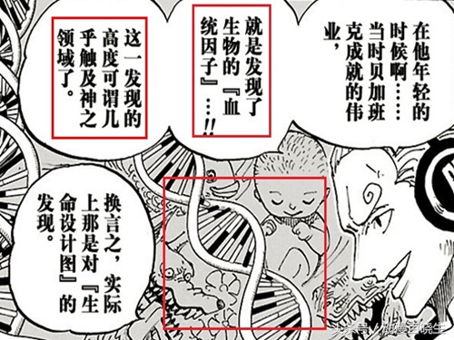 海贼王恶魔果实图鉴书本,海贼王恶魔果实在现实生活中出现