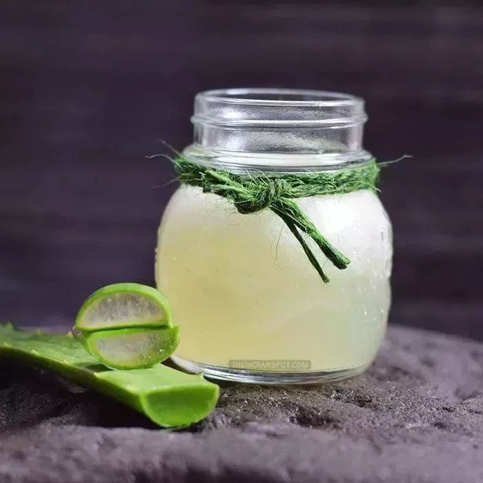 家里养一盆钱兜好吗,家里养一盆花就挺好