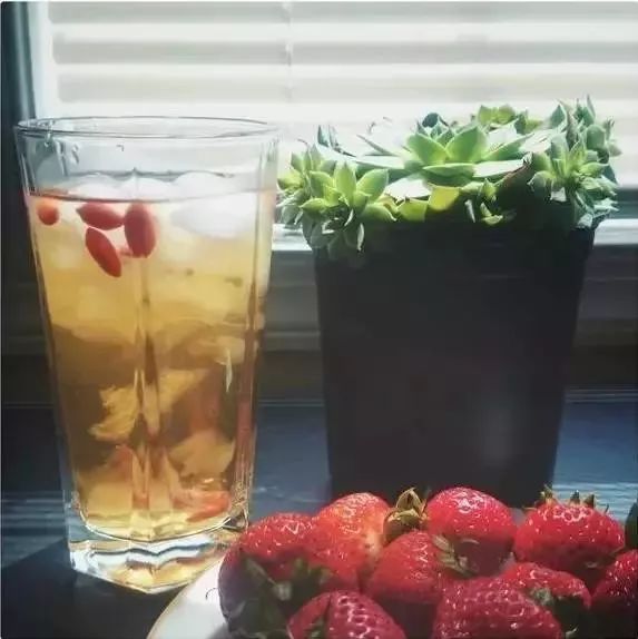 家里养一盆钱兜好吗,家里养一盆花就挺好