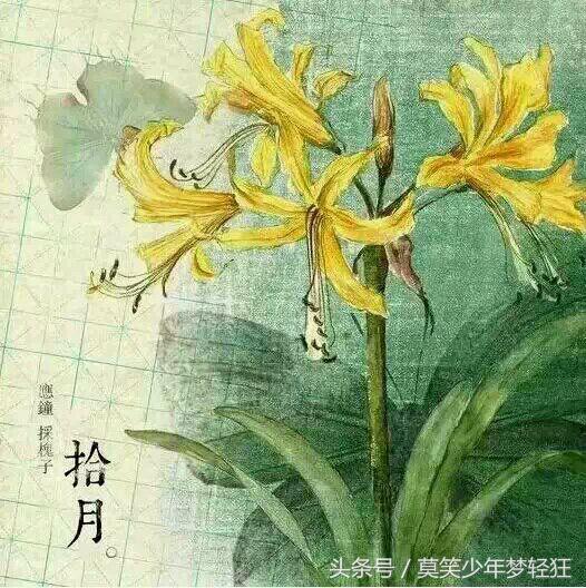 属狗的城头土命人的一生运程如何,十二生肖之戌狗性格和人生运势