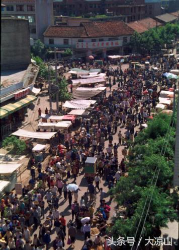 神奇的“黑根”,德昌端午节寻常百姓家药膳必备