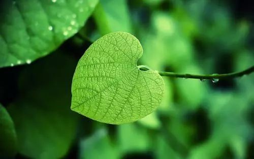 赵毅衡丨修辞学复兴的主要形式:符号修辞